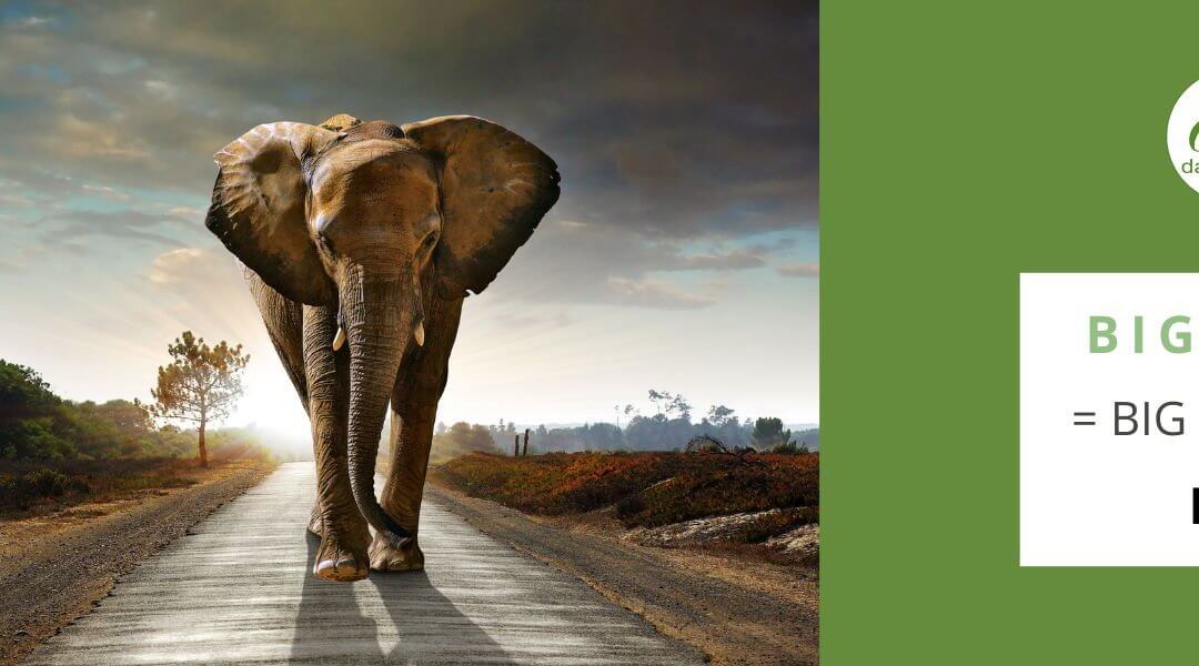 Big Data = Big Business
